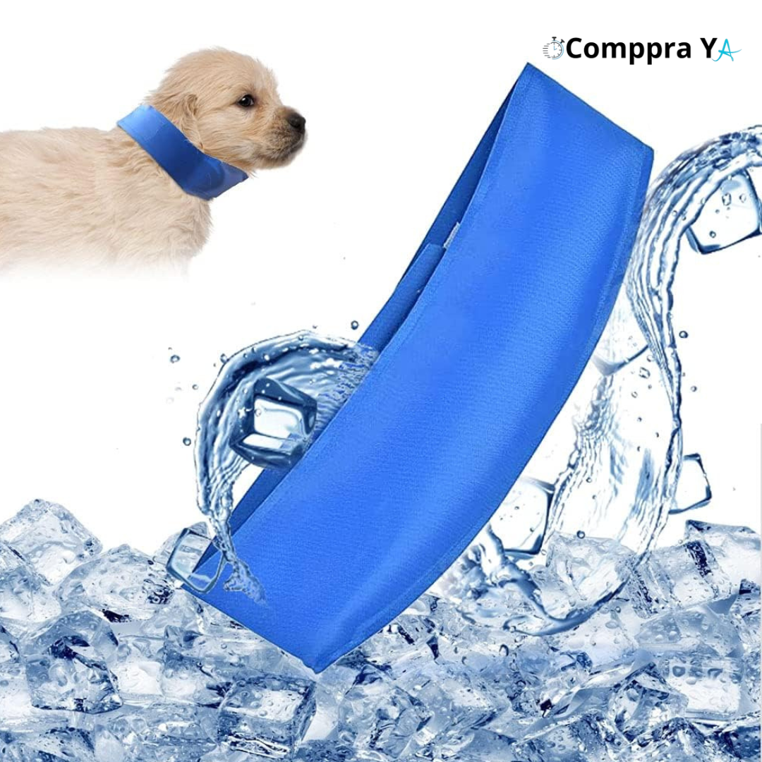 Collar IcePup™